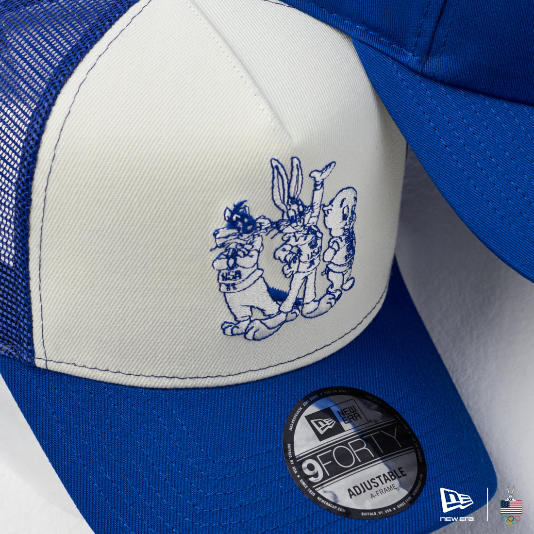 Team USA Winter – New Era Cap