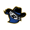 Quad Cities River Bandits