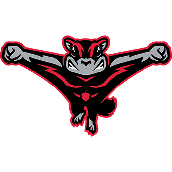 Richmond Flying Squirrels