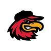 Rochester Red Wings