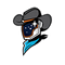 Sugar Land Space Cowboys logo