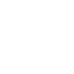 Buffalo Bulls