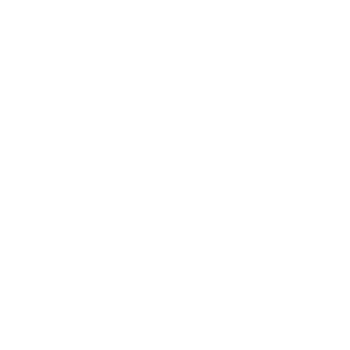 Bulls