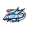 Orlando Miracle logo