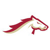 Birmingham Stallions