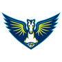 Dallas Wings