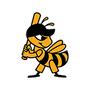 Salt Lake Bees