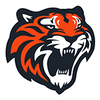 Tigres de Quintana Roo