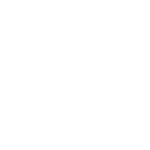 Washington State Cougars