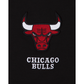 Chicago Bulls 2022 City Edition T-Shirt