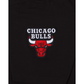 Chicago Bulls Logo Select T-Shirt