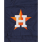 Alpha Industries X Houston Astros Shorts