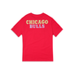 Chicago Bulls Colorpack Pink T-Shirt