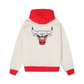 Chicago Bulls Colorpack Hoodie