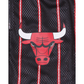 Eric Emanuel X Chicago Bulls Shorts