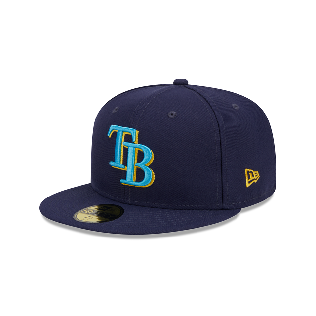 tampa bay rays fathers day hat