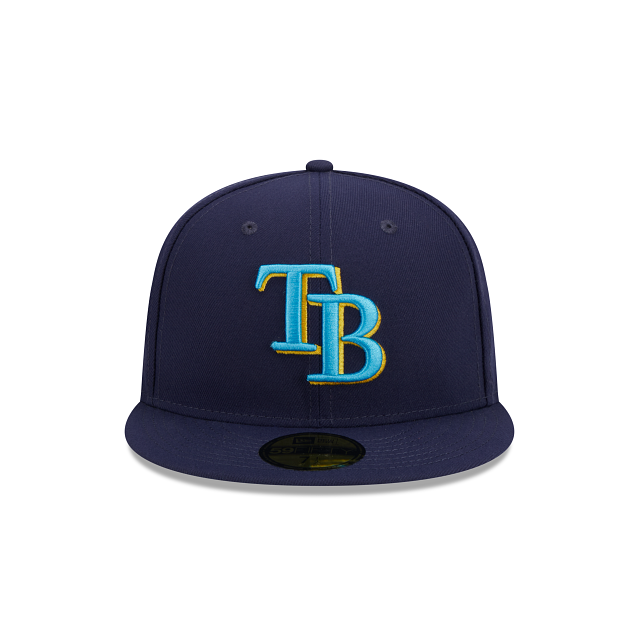 tampa bay rays fathers day hat