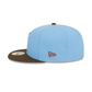 Aberdeen IronBirds Theme Night 59FIFTY Fitted Hat