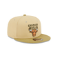 Chicago Bulls Green Collection 9FIFTY Snapback Hat