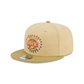 Phoenix Suns Green Collection 9FIFTY Snapback Hat